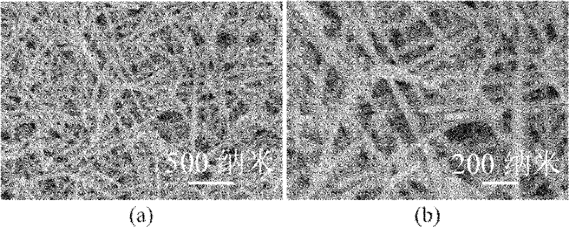 Preparation method of PbAgTe ternary nanowire