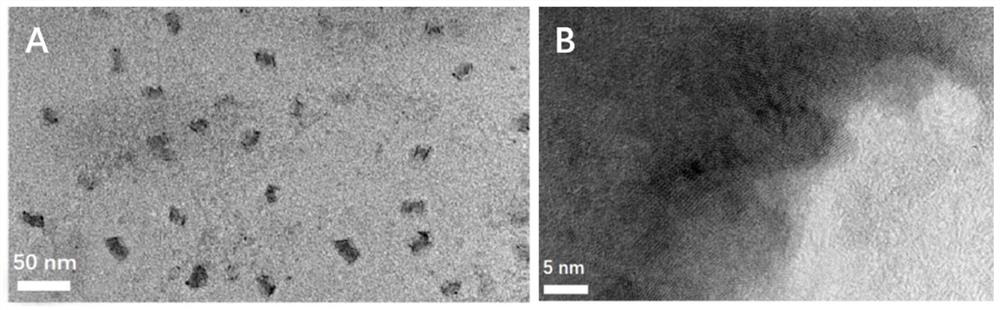 Nitrogen-doped graphene quantum dot-iron ion composite nano-enzyme and preparation and application thereof