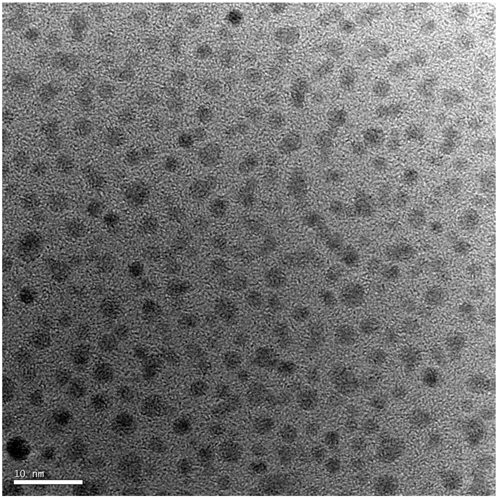 Photoelectrochemical sensor, and preparation and application thereof