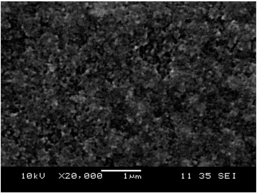 Photoelectrochemical sensor, and preparation and application thereof