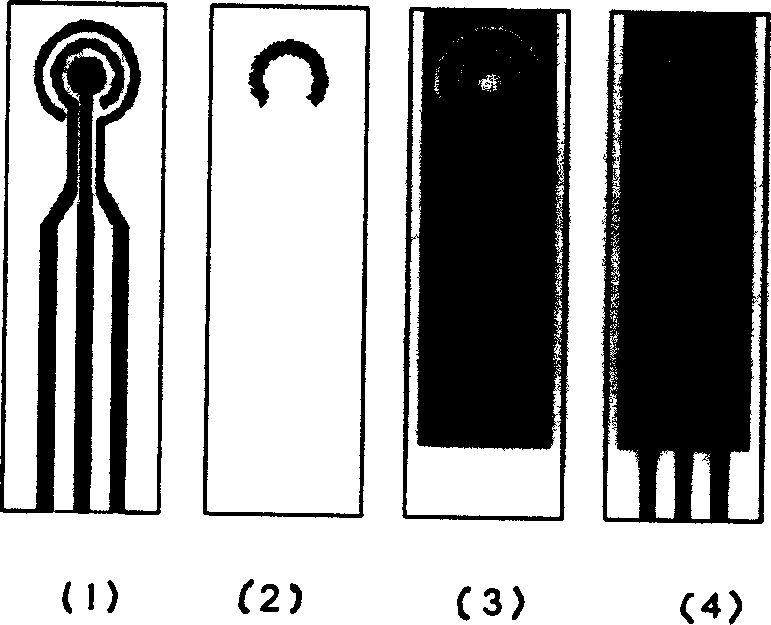 Disposable ampere type immunosensor for detecting two or four drops and preparing and using method thereof