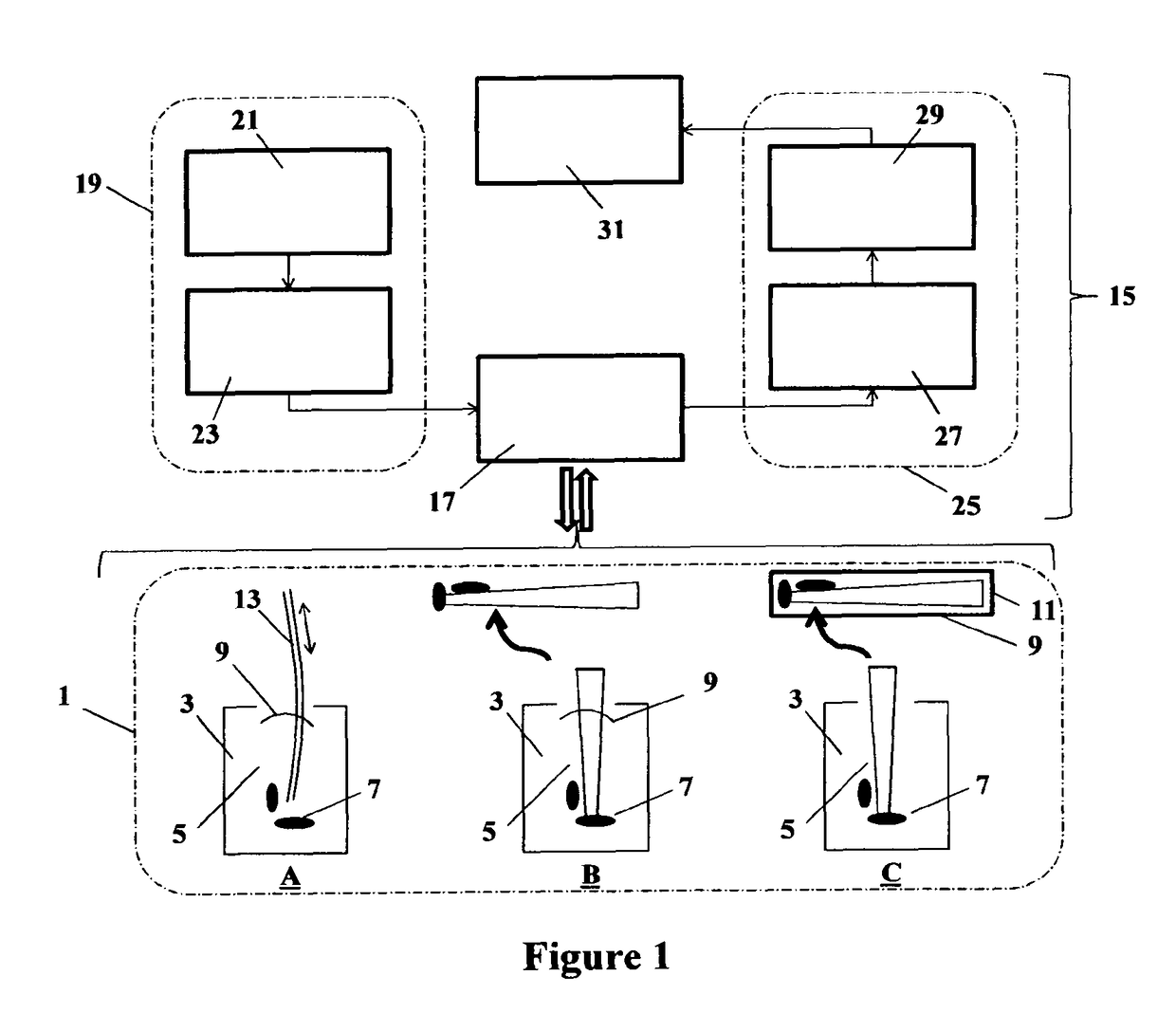 Method for detecting the presence of the viable cells in an endodontic sample