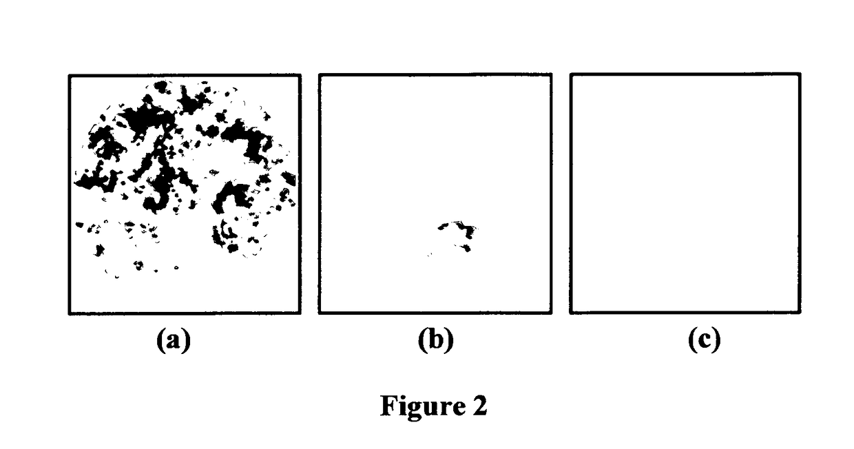 Method for detecting the presence of the viable cells in an endodontic sample