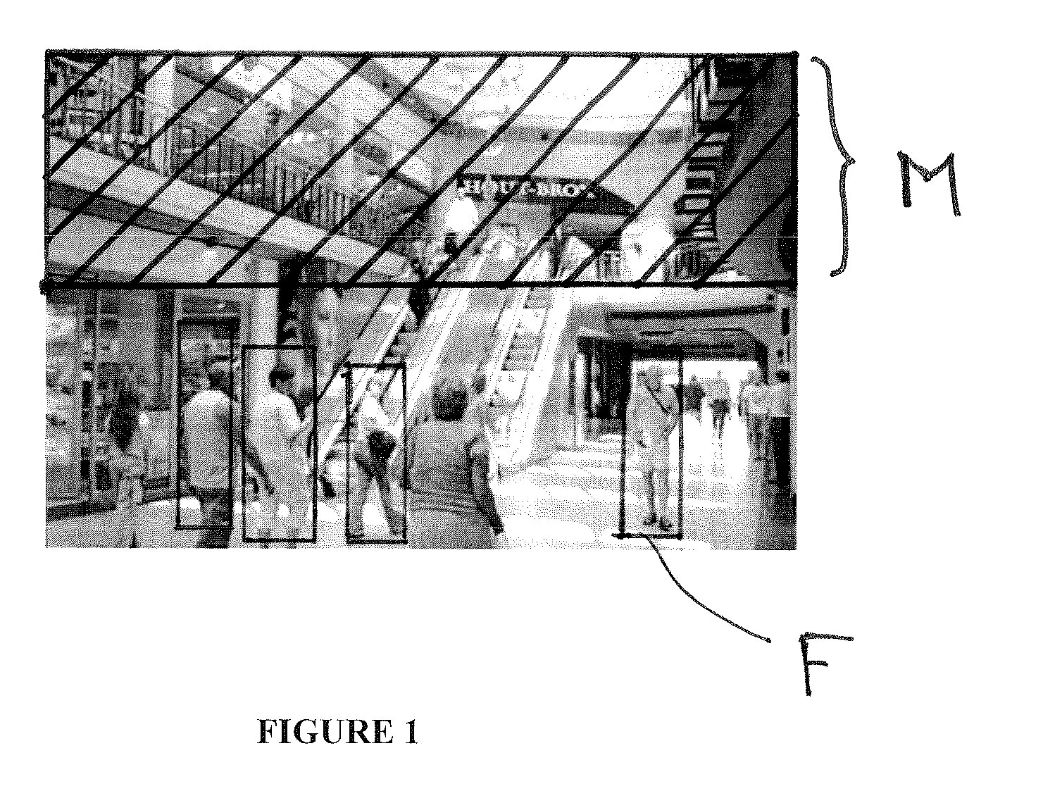 Method and system for audience digital monitoring