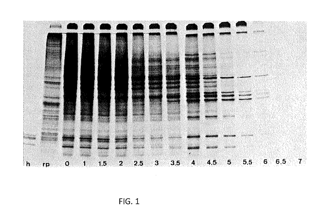 Production of FMDV-resistant livestock by allele substitution