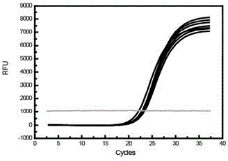 Primer-probe composition, kit and detection method for detecting seven kinds of hot-spot mutation of KRAS gene of humans