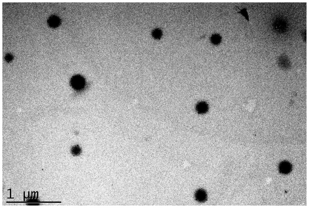 A kind of preparation method of active targeting anticancer drug nanoparticles