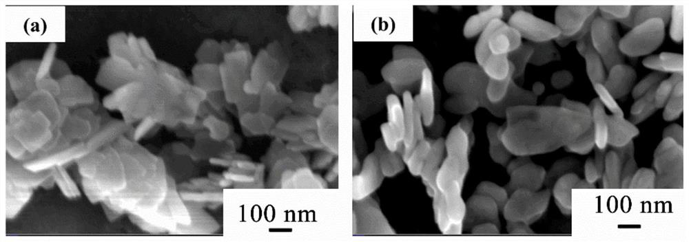 Positive electrode composite material and preparation method thereof, positive electrode and lithium battery