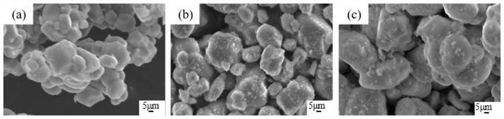 Positive electrode composite material and preparation method thereof, positive electrode and lithium battery