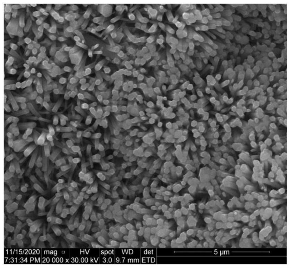 Hydroxyapatite coating based on polyether-ether-ketone and preparation method thereof