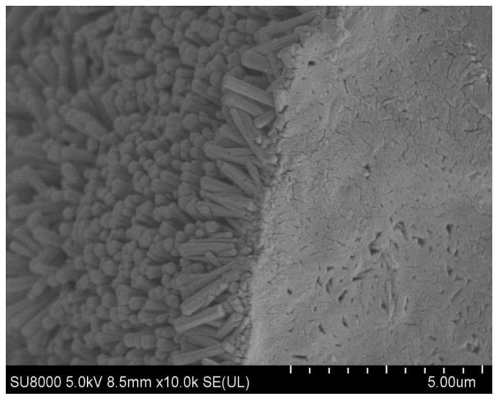 Hydroxyapatite coating based on polyether-ether-ketone and preparation method thereof