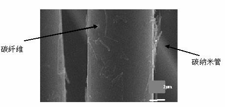 Method for preparing functional carbon fibers