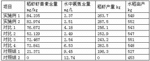 High-astaxanthin rice shrimp breeding method