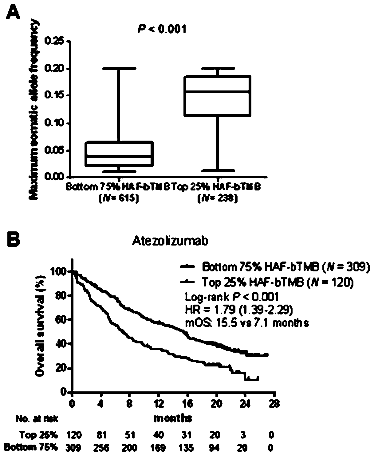 Blood-based tumor mutation burden (bTMB) biomarker, and measuring method and uses thereof