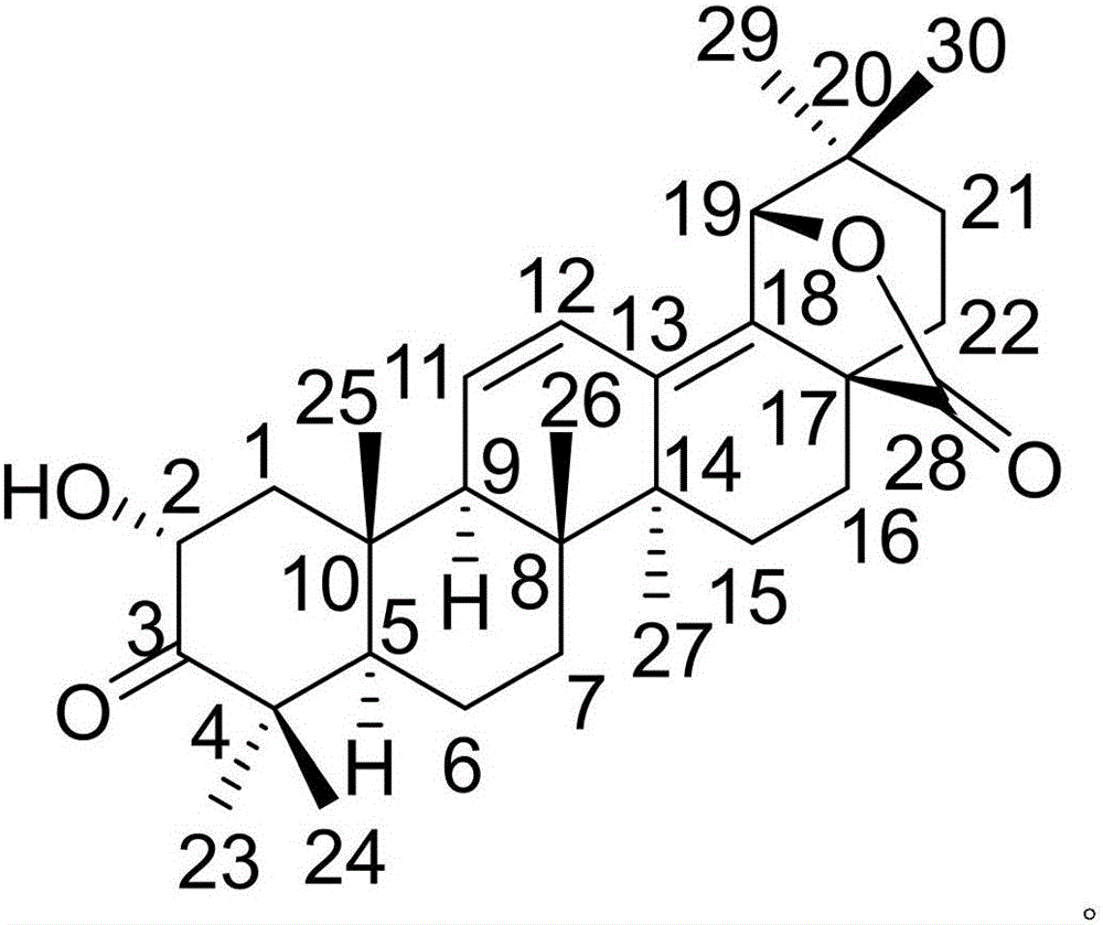 Pharmaceutical composition of vesalium and medical application thereof