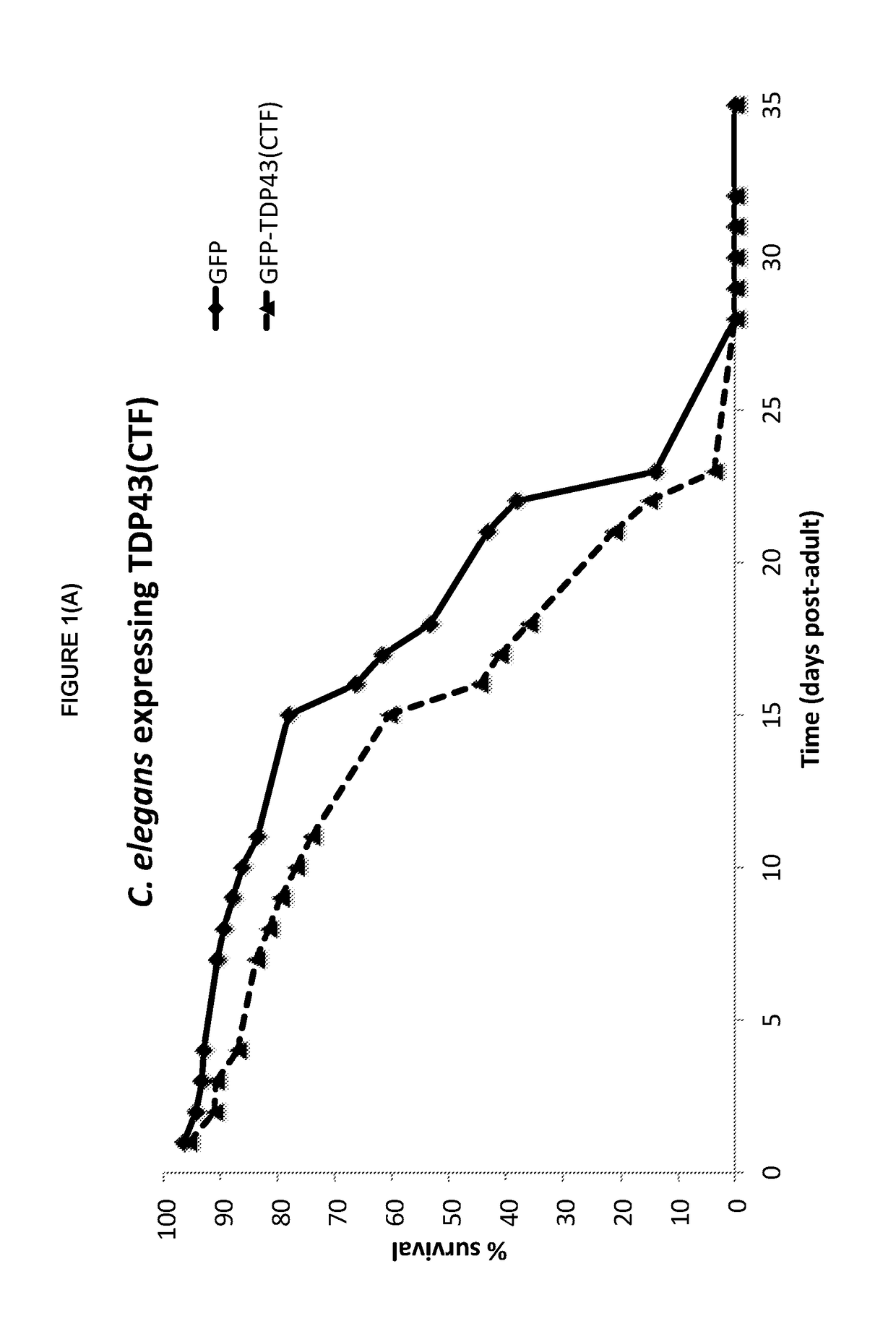 Tacrolimus for treating TDP-43 proteinopathy