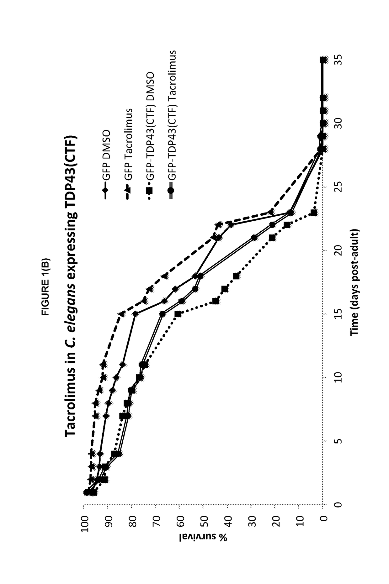 Tacrolimus for treating TDP-43 proteinopathy