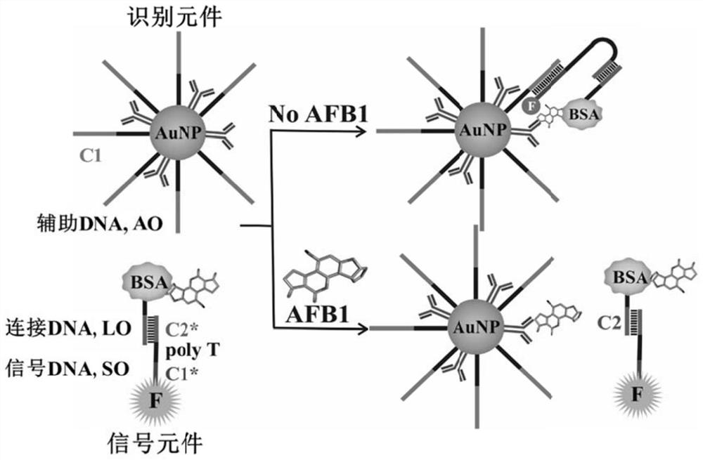 A fluorescent detection device assembled with induced DNA and a method for detecting the content of small molecules using it