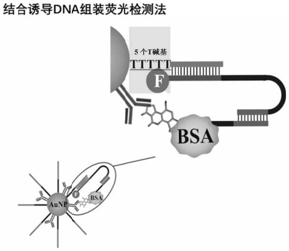 A fluorescent detection device assembled with induced DNA and a method for detecting the content of small molecules using it