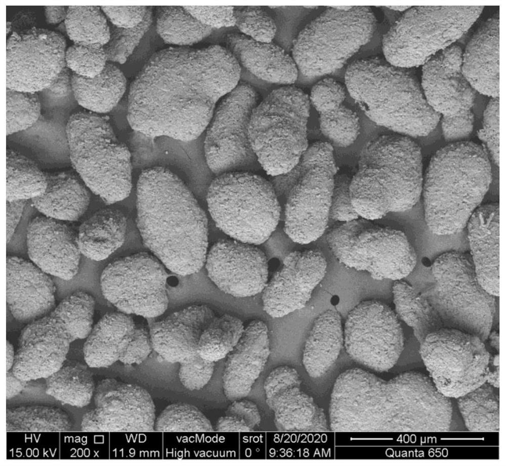 HMX explosive microsphere containing cross-linked fluorine polymer coating layer and preparation method of HMX explosive microsphere