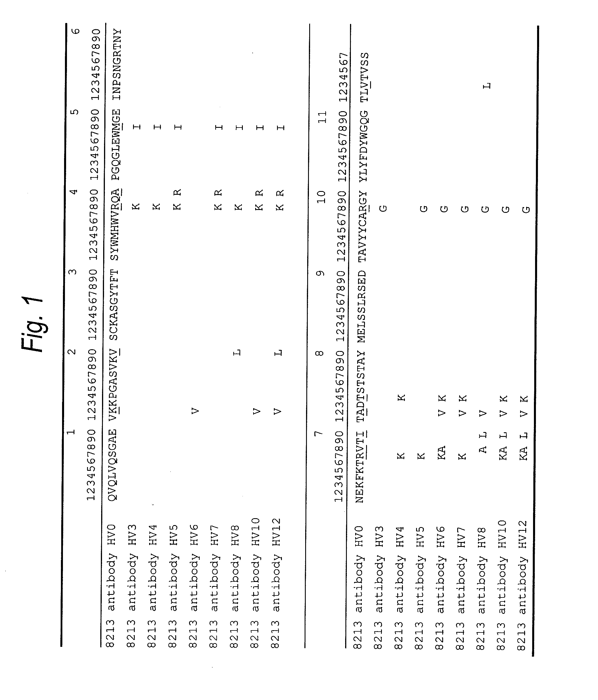 Anti-tim-3 antibody