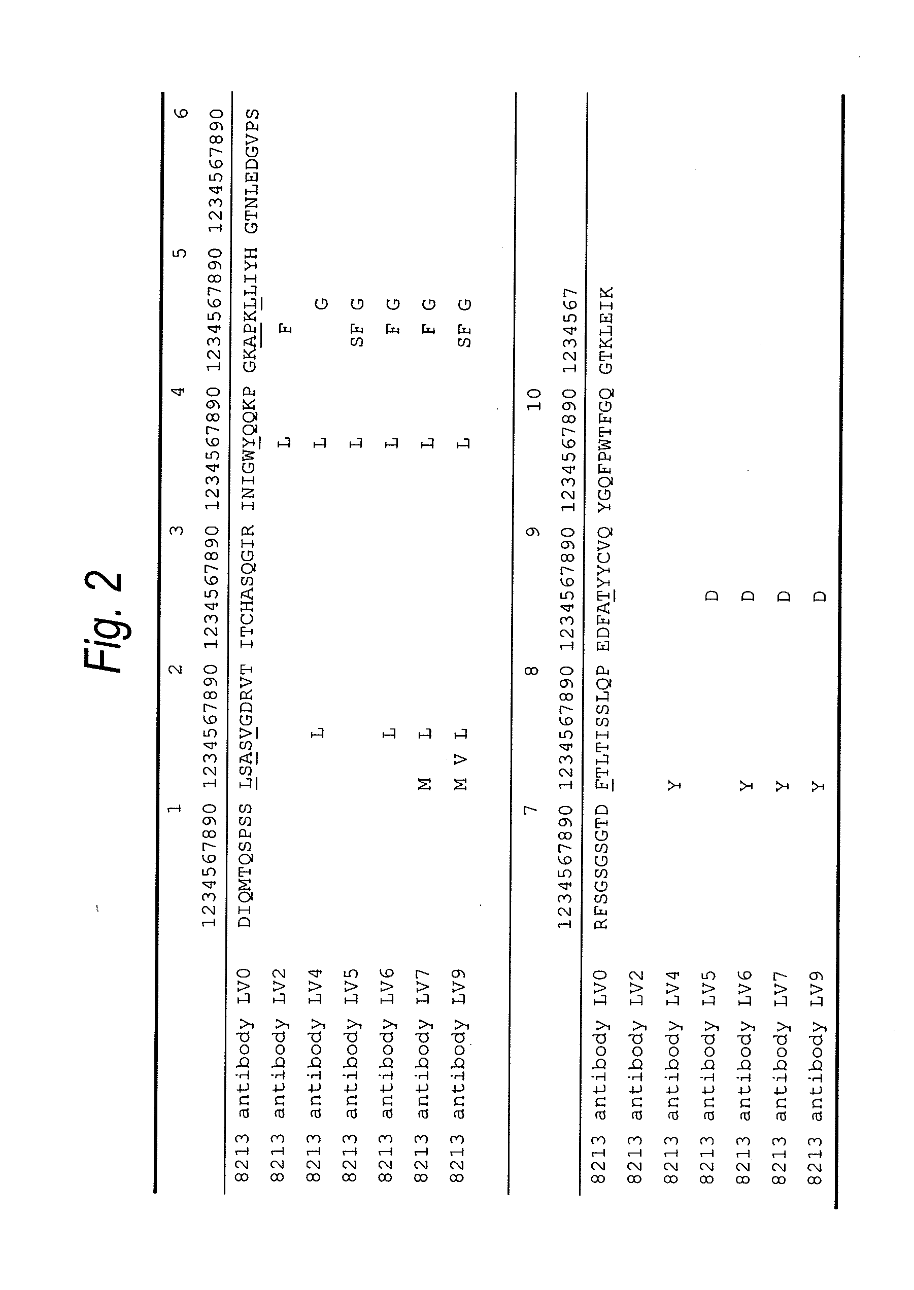 Anti-tim-3 antibody