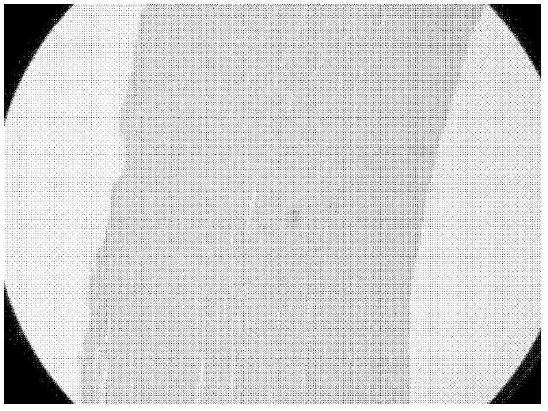 Decellularized heterogeneous corneal stroma carrier and its preparation method and application