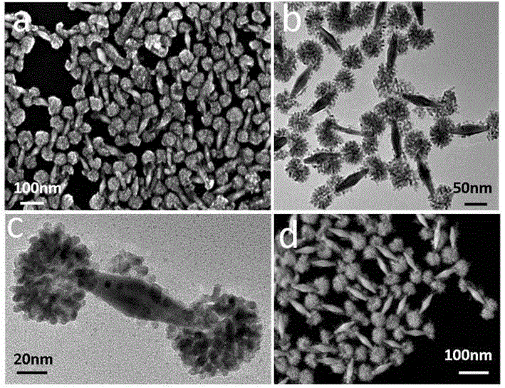 A kind of three metal nanoparticles and preparation method thereof