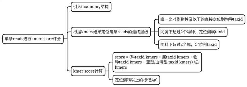 An optimized kraken2 algorithm and its application in next-generation sequencing