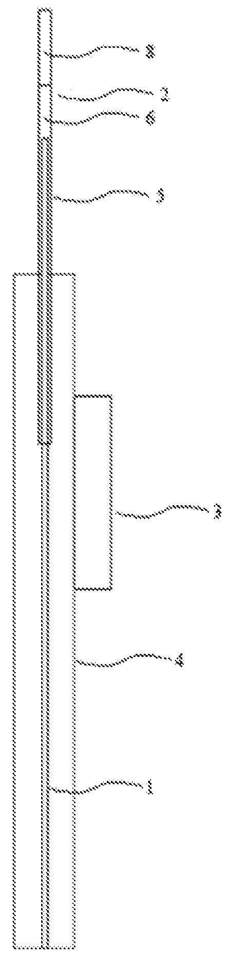 Delivery and extraction devices