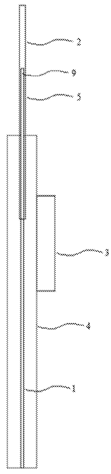 Delivery and extraction devices