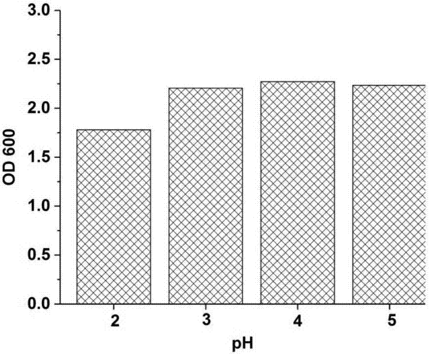 Pichia anomala for producing ethyl acetate and application of pichia anomala