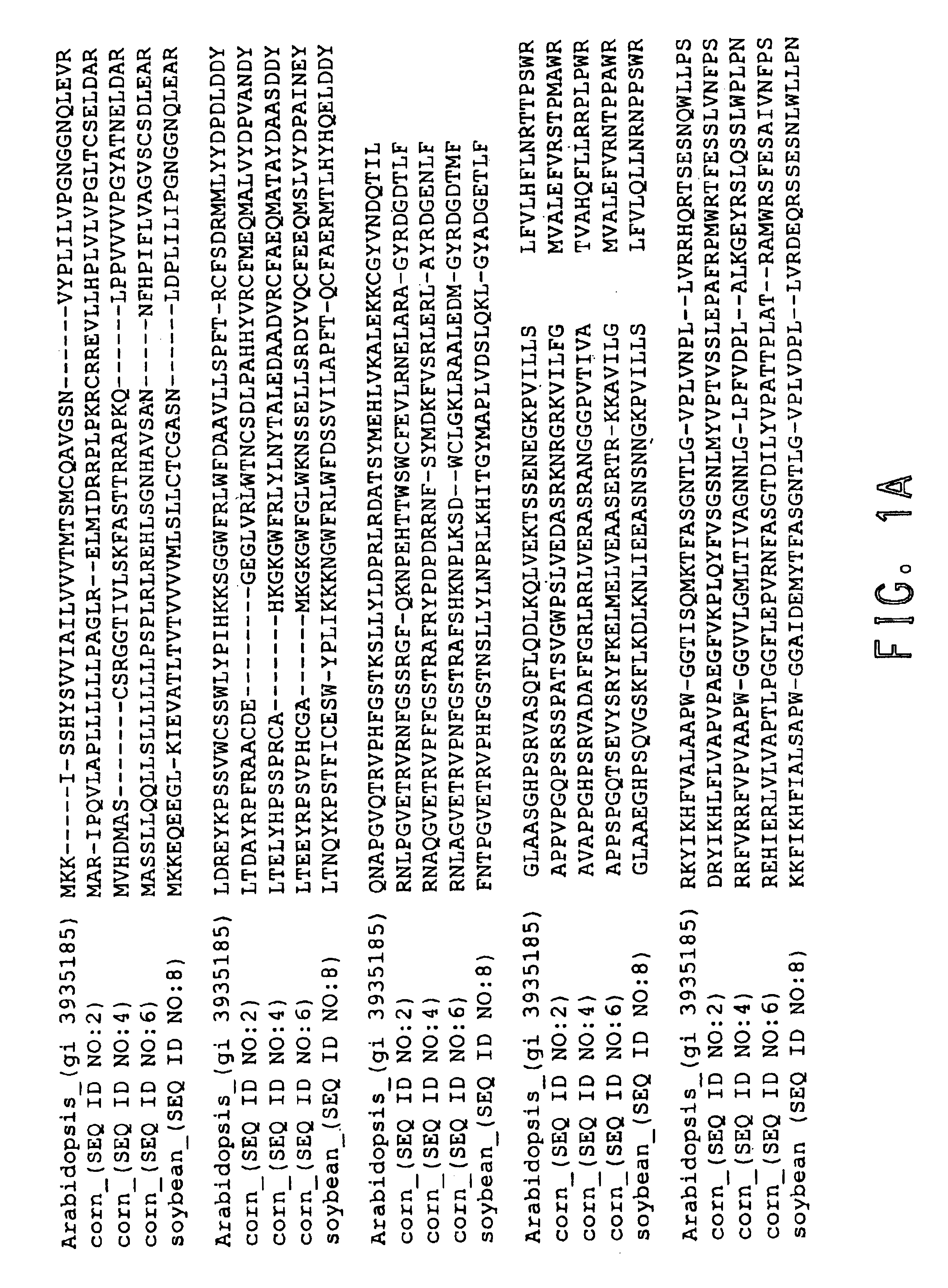 Plan lecithin: cholesterol acyltransferases