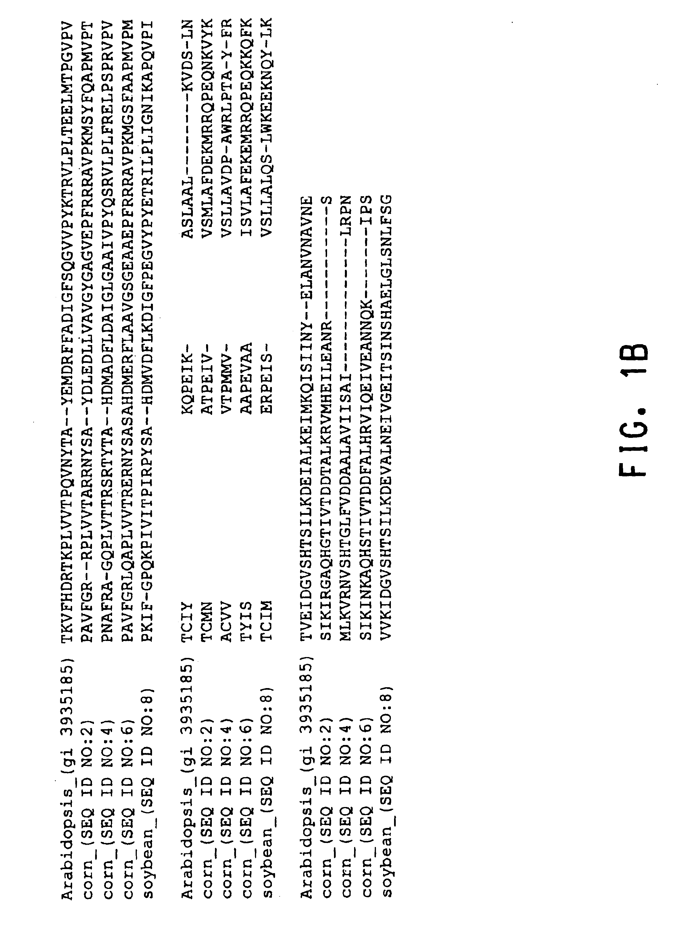 Plan lecithin: cholesterol acyltransferases