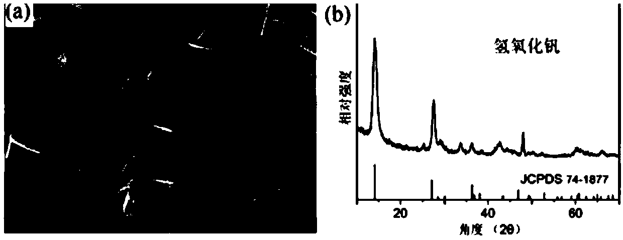 Vanadium hydroxide nanosheet and preparation method thereof