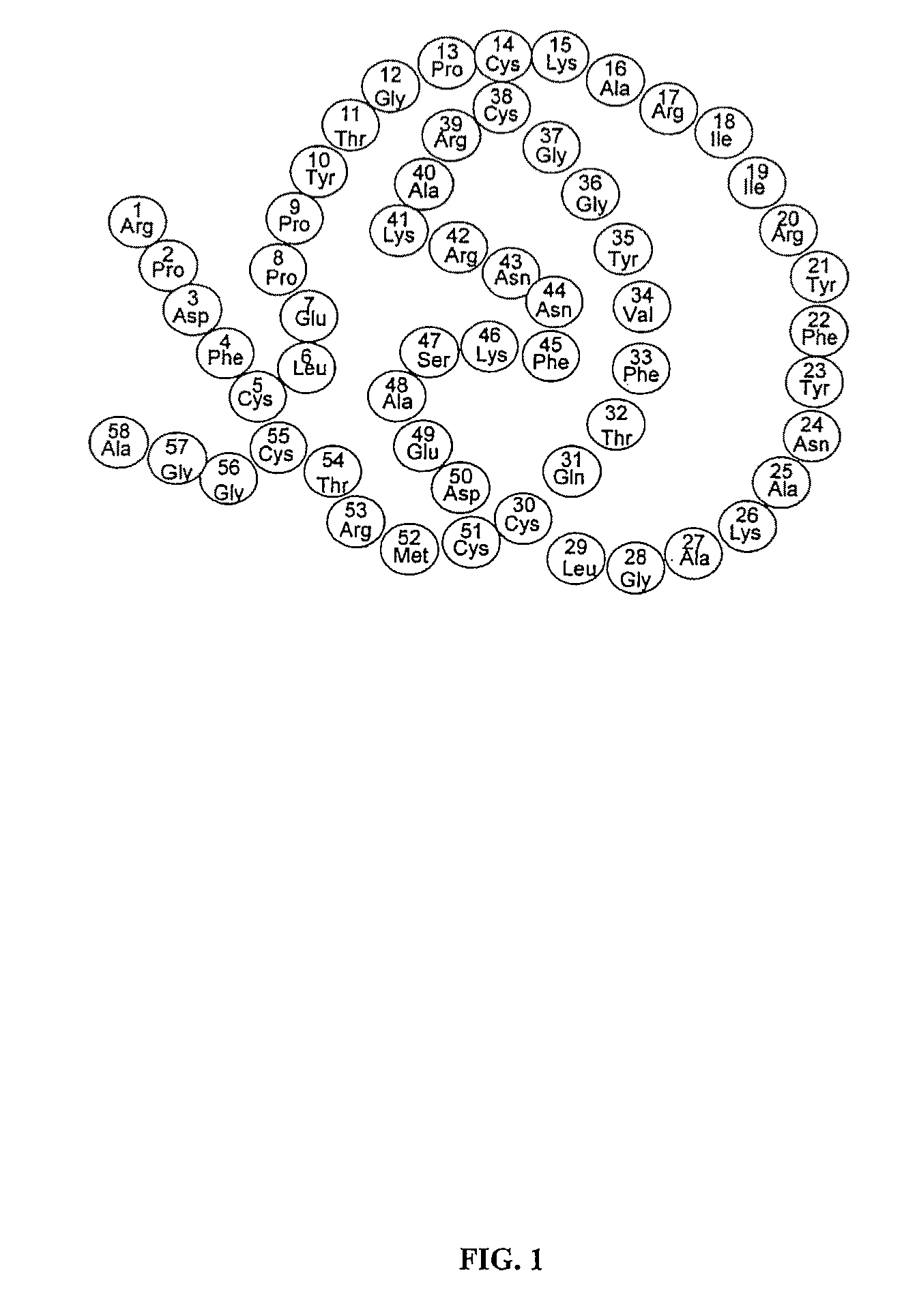 Novel class of therapeutic protein based molecules