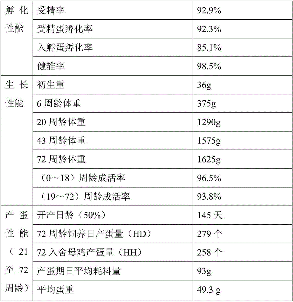 Breeding method for complete set of male parents with yellow-feather black-neck laying chickens and mode for production of hybrid seeds