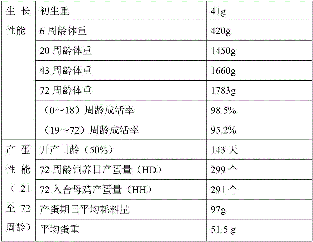 Breeding method for complete set of male parents with yellow-feather black-neck laying chickens and mode for production of hybrid seeds