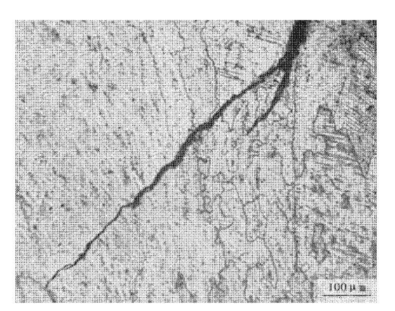 Coal purifying equipment changing pipeline and an anticracking method thereof