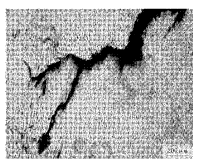 Coal purifying equipment changing pipeline and an anticracking method thereof