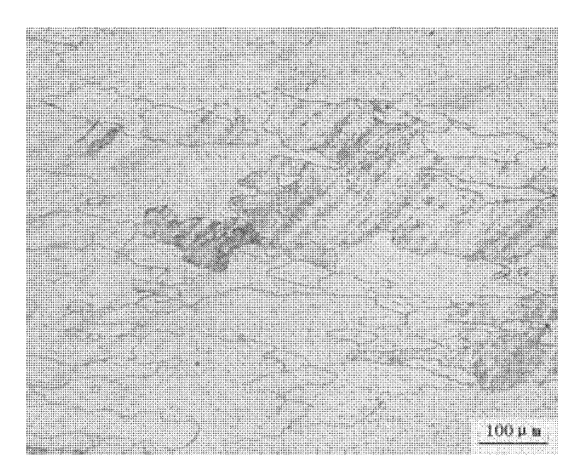 Coal purifying equipment changing pipeline and an anticracking method thereof