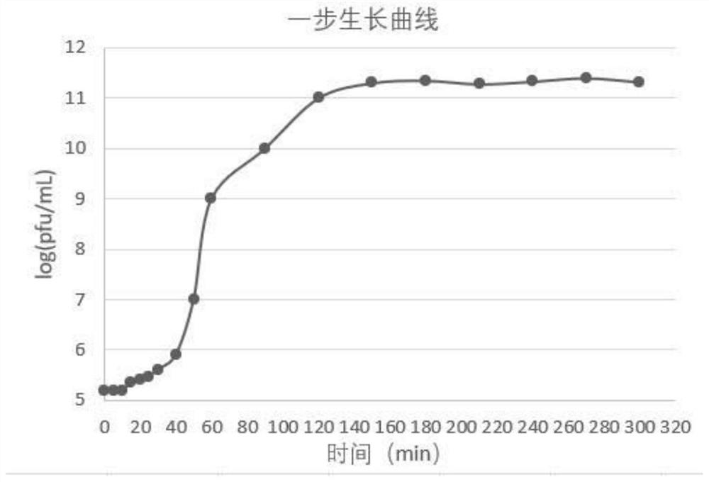 A drug-resistant Klebsiella pneumoniae phage rdp-kp-20004 and its application