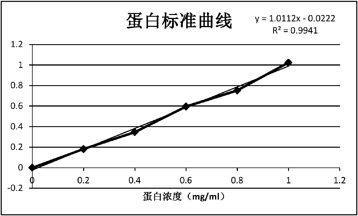 Method for synthesizing NADPH through immobilized enzyme catalysis