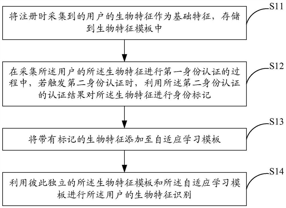 Biological feature adaptive learning identification method and system