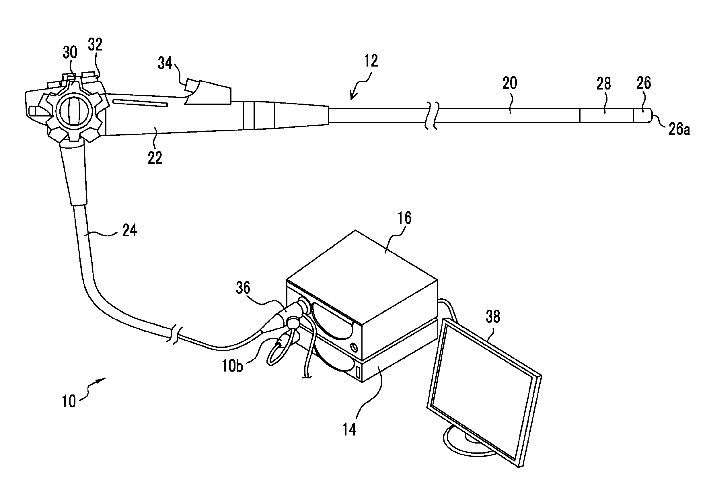 Electronic endoscope apparatus and electronic endoscope system