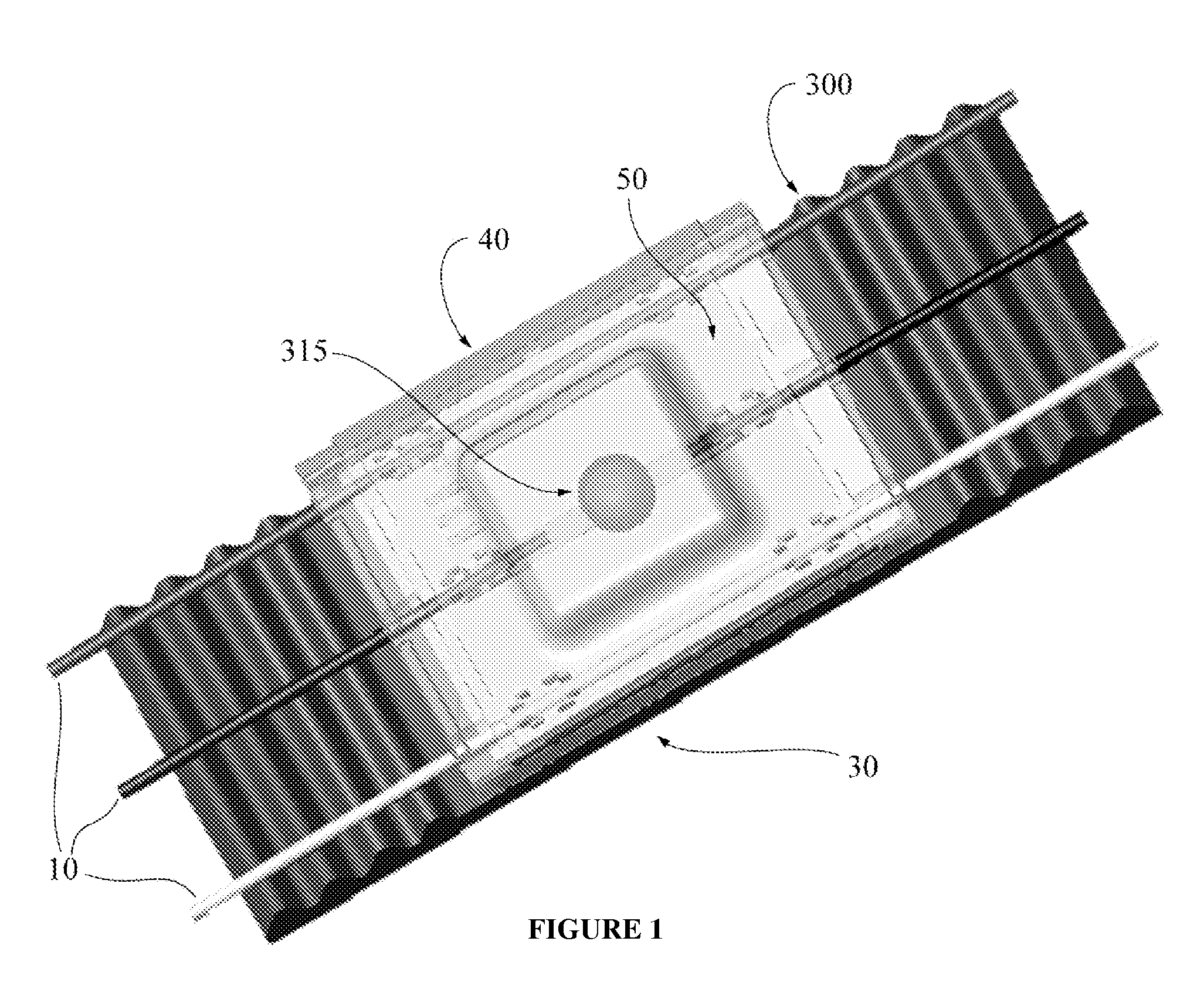 Light-emitting module