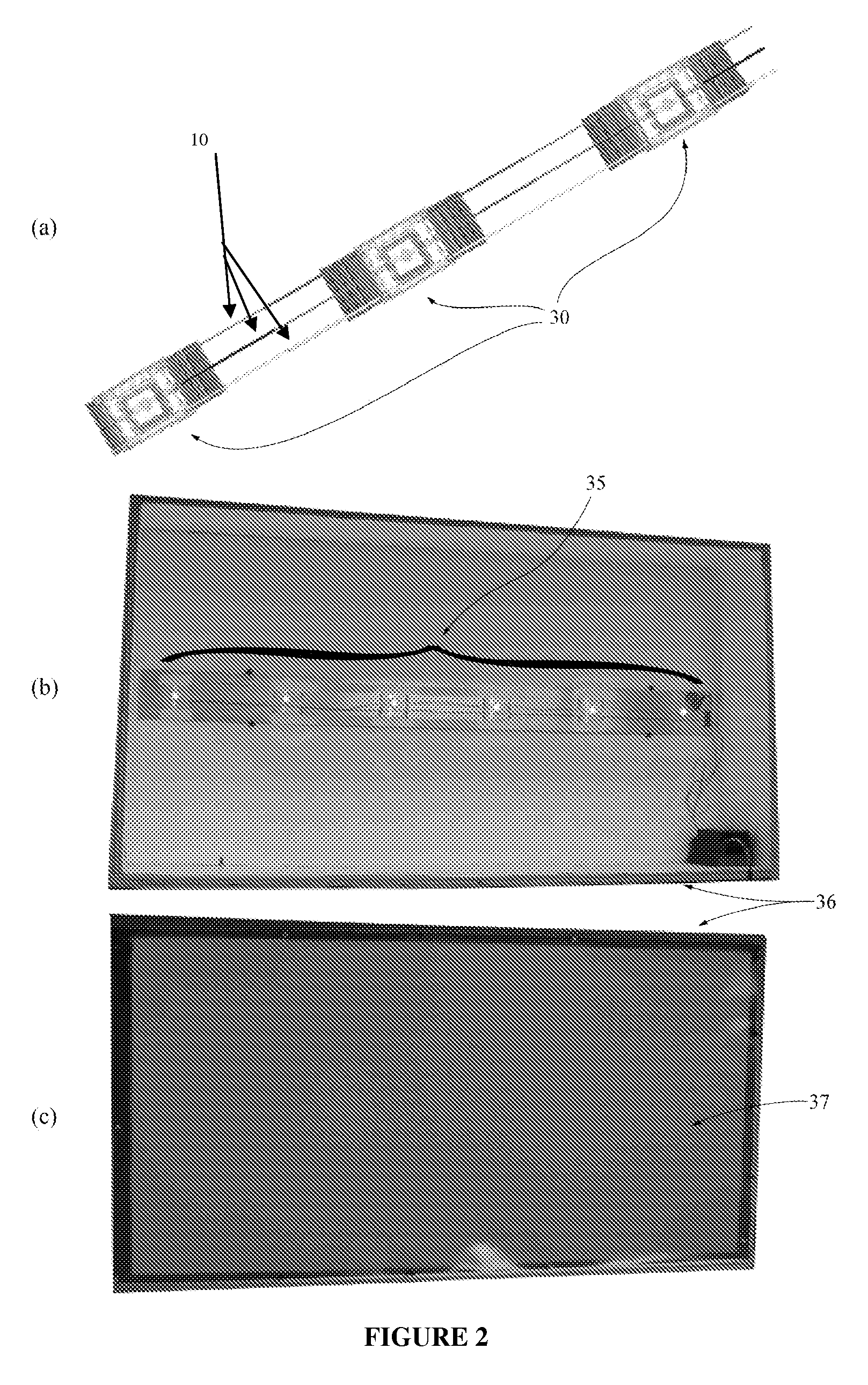 Light-emitting module