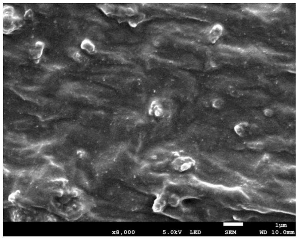 Hydrophilic antibacterial silicone rubber oral impression material and preparation method thereof