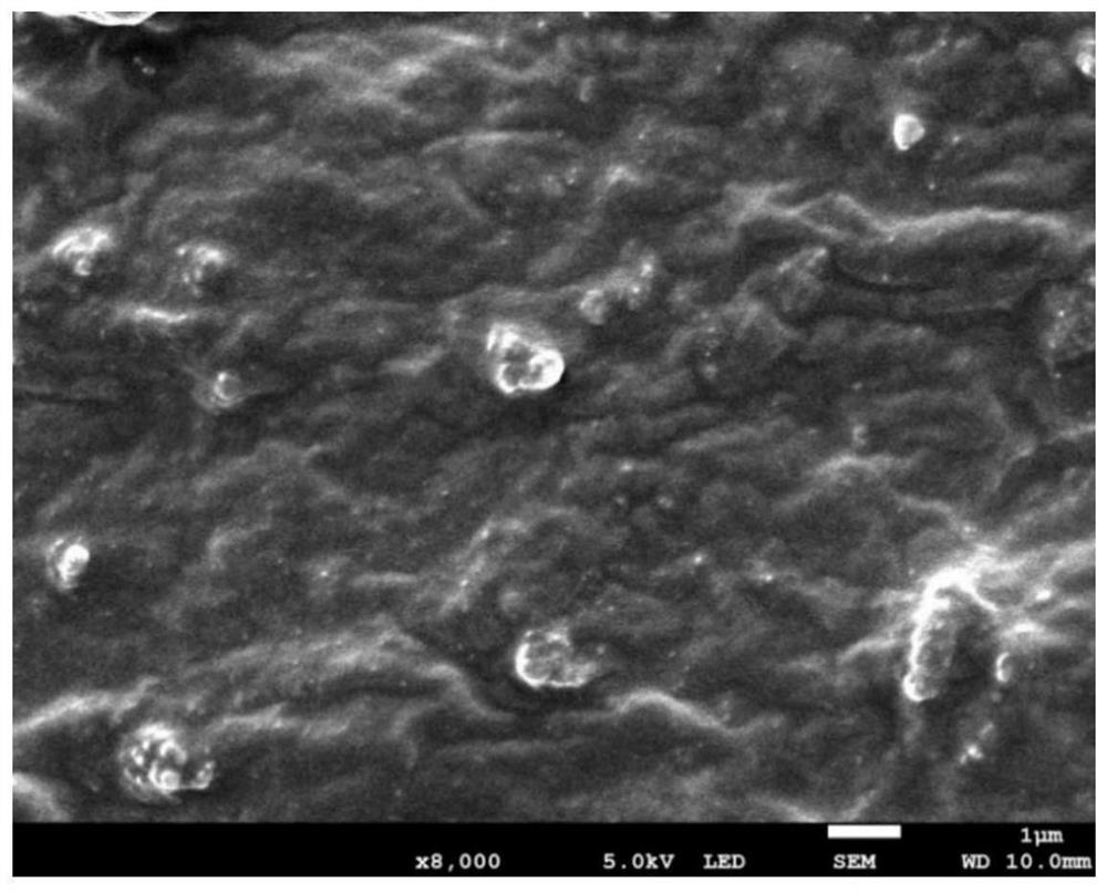 Hydrophilic antibacterial silicone rubber oral impression material and preparation method thereof