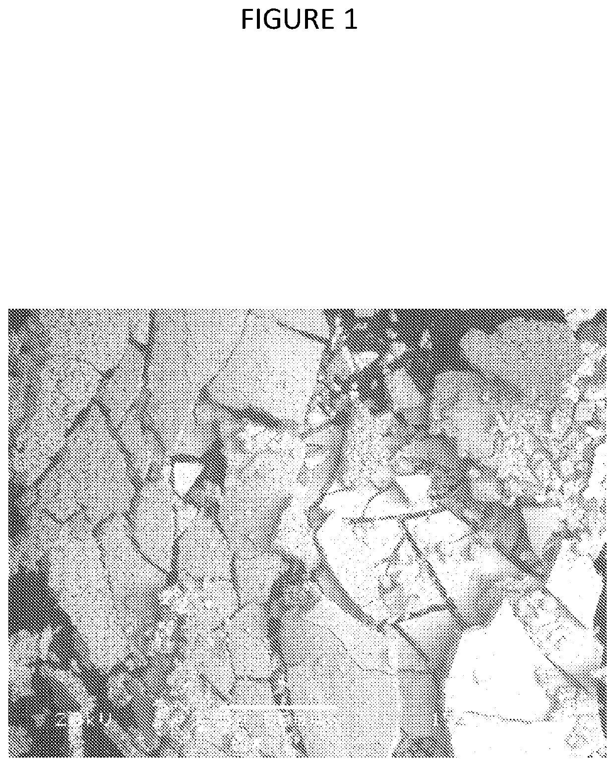 Composition and method or recovering rare-earth elements